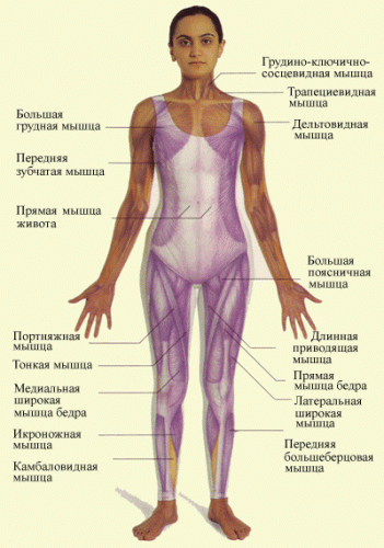 Массаж г.Королев, Щелково, Пушкино, Юбилейный